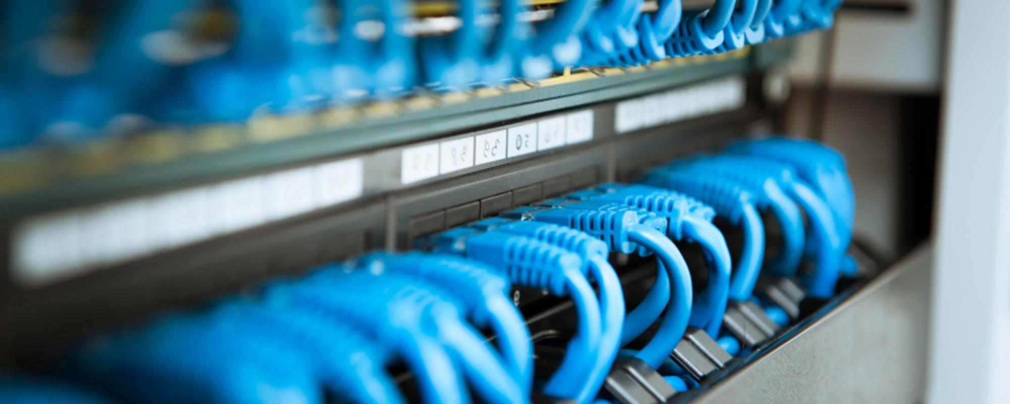 network cables blue two - راهکار های زیرساخت شبکه